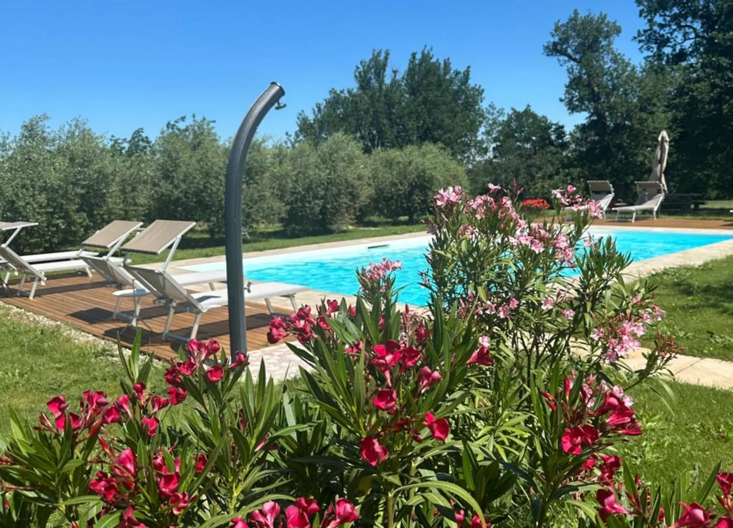 Podere Selvatici Imola Apartamento
